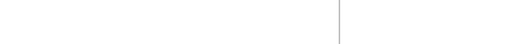 KOMANDOR